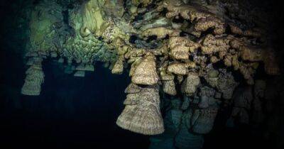 Мексика - "Адские колокола": исследователи выяснили происхождение таинственных подводных образований в Мексике (фото) - focus.ua - Украина - Mexico
