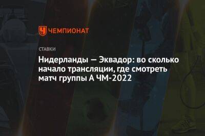 Криштиану Роналду - Нидерланды — Эквадор: во сколько начало трансляции, где смотреть матч группы А ЧМ-2022 - championat.com - Россия - США - Бразилия - Иран - Голландия - Эквадор - Катар - Сенегал