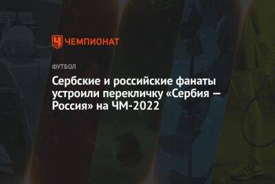 Валерий Карпин - Сербские и российские фанаты устроили перекличку «Сербия — Россия» на ЧМ-2022 - championat.com - Россия - Бразилия - Польша - Сербия - Катар