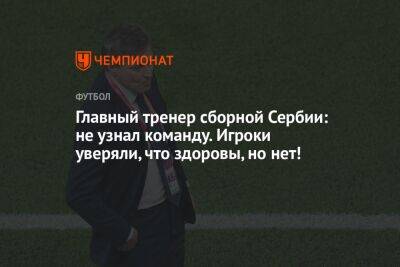 Главный тренер сборной Сербии: не узнал команду. Игроки уверяли, что здоровы, но нет! - championat.com - Бразилия - Сербия - Катар