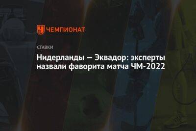 Нидерланды — Эквадор: эксперты назвали фаворита матча ЧМ-2022 - championat.com - Россия - США - Англия - Швейцария - Голландия - Эквадор