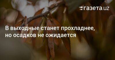 В выходные станет прохладнее, но осадков не ожидается - gazeta.uz - Казахстан - Узбекистан