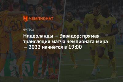 Луи Ван-Гал - Нидерланды — Эквадор: прямая трансляция матча чемпионата мира — 2022 начнётся в 19:00 - championat.com - Голландия - Эквадор - Катар