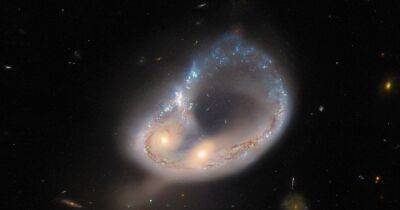 "Магическое" кольцо. Телескоп Хаббл сделал изображение необычной космической структуры (фото) - focus.ua - Украина