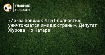 «Из-за повязок ЛГБТ полностью уничтожается имидж страны». Депутат Журова – о Катаре - bombardir.ru - Катар