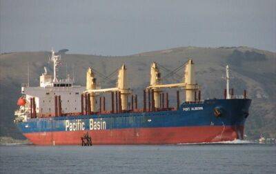 Украина отправила 33 тысячи тонн сои на двух кораблях - korrespondent.net - Россия - Украина - Турция - Испания - Эфиопия - Большая Одесса