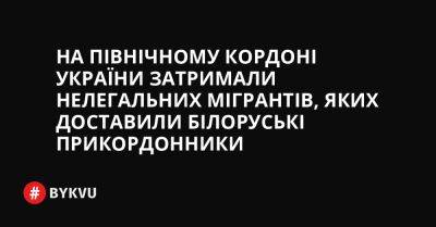 На північному кордоні України затримали нелегальних мігрантів, яких доставили білоруські прикордонники - bykvu.com - Украина - Пакистан - Білорусь - Twitter