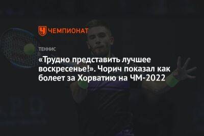 «Трудно представить лучшее воскресенье!». Чорич показал, как болеет за Хорватию на ЧМ-2022 - championat.com - Австралия - Канада - Хорватия - Катар