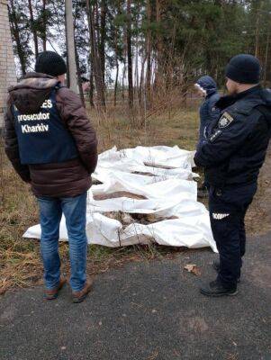 Сергей Болвинов - Полицейские эксгумировали на Харьковщине тела пяти жертв авиабомбардировок рф - objectiv.tv - Харьковская обл. - Харьков