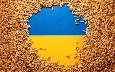 Владимир Зеленский - Grain from Ukraine: Украина спасет мир от голода - korrespondent.net - Украина - Киев - Судан - Йемен - Конго - Кения - Эфиопия - Сомали - Южный Судан - Продовольствие