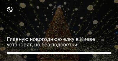 Главную новогоднюю елку в Киеве установят, но без подсветки - liga.net - Украина - Киев