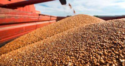 Анатолий Аксаков - В ГД РФ заявили о готовности поставлять зерно за рубеж, если ЕС вернет Россельхозбанк в SWIFT - produkt.by - Россия - Белоруссия