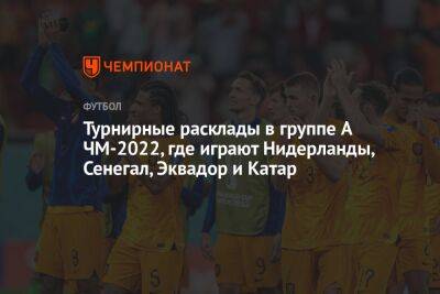 Луи Ван-Гало - Турнирные расклады в группе A ЧМ-2022, где играют Нидерланды, Сенегал, Эквадор и Катар - championat.com - Голландия - Эквадор - Катар - Сенегал