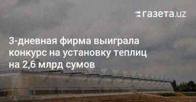 Трёхдневная фирма выиграла конкурс на установку теплиц на 2,6 млрд сумов - gazeta.uz - Узбекистан