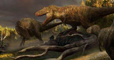 Ученые нашли новый вид динозавров: это может быть недостающее звено в эволюции тираннозавра - focus.ua - США - Украина - штат Северная Дакота