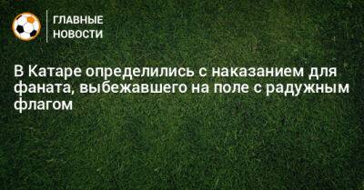 В Катаре определились с наказанием для фаната, выбежавшего на поле с радужным флагом - bombardir.ru - Португалия - Катар - Уругвай