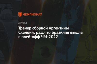 Лионель Скалони - Тренер сборной Аргентины Скалони: рад, что Бразилия вышла в плей-офф ЧМ-2022 - championat.com - Франция - Бразилия - Польша - Португалия - Аргентина - Катар