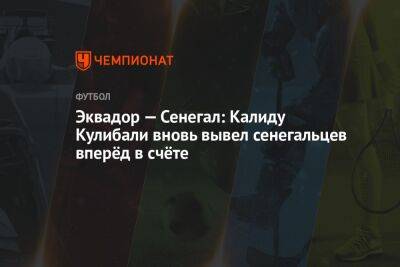 Калиду Кулибали - Эквадор — Сенегал: Калиду Кулибали вновь вывел сенегальцев вперёд в счёте - championat.com - Франция - Голландия - Эквадор - Катар - Сенегал