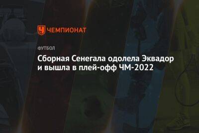 Калиду Кулибали - Сборная Сенегала одолела Эквадор и вышла в плей-офф ЧМ-2022 - championat.com - Голландия - Эквадор - Катар - Сенегал