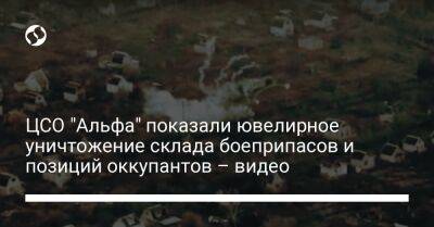 ЦСО "Альфа" показали ювелирное уничтожение склада боеприпасов и позиций оккупантов – видео - liga.net - Украина