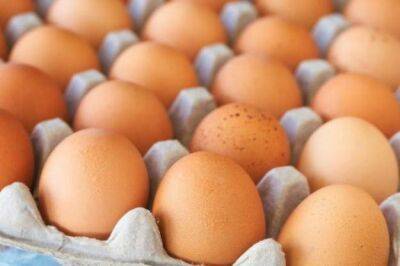 Цены на яйца. Минагрополитики договорилось о стабилизации с производителями птицы - minfin.com.ua - Украина