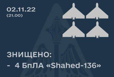ЗСУ знищили кілька дронів-камікадзе у Дніпропетровській області - lenta.ua - Украина - місто Кривий Ріг - місто Нікополь