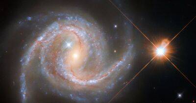 Звезды из Млечного пути "попали" в другую галактику и это увидел телескоп Хаббл (фото) - focus.ua - Украина