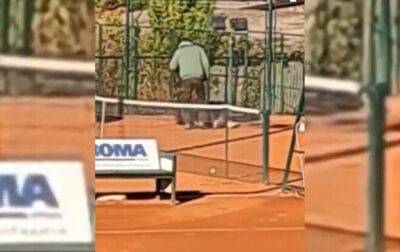 Майк Тайсон - В Сербии теннисистку избили прямо на корте - korrespondent.net - Китай - Украина - Сербия