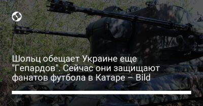 Владимир Зеленский - Олаф Шольц - Шольц обещает Украине еще "Гепардов". Сейчас они защищают фанатов футбола в Катаре – Bild - liga.net - Украина - Германия - Катар