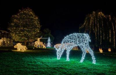 В Праге открылся второй парк рождественских световых инсталляций - vinegret.cz - Чехия - Прага