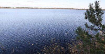 На всем протяжении Немана отмечается небольшой рост уровней воды - grodnonews.by - Белоруссия - Речица