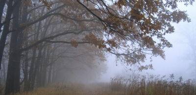 Вікенд у відтінках сірого. Синоптики розповіли, якою буде погода на вихідних - thepage.ua - Украина