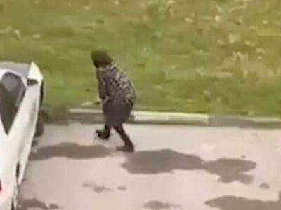Жительница Грозного избила палкой бездомного щенка и попала на видео - ukrpost.biz - респ. Чечня - Самара