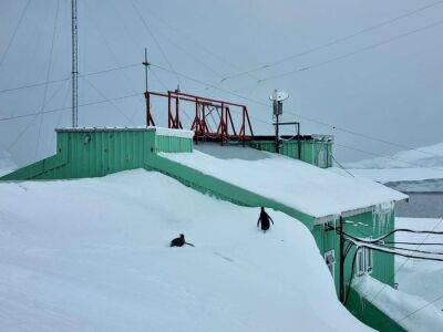 По крыше ходят пингвины: на станции "Академик Вернадский" рекордный снег – впечатляющие фото - 24tv.ua - Киев