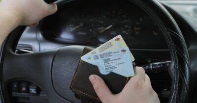 В Украине Е-удостоверение водителя сможет полностью заменить пластиковые права - focus.ua - Украина