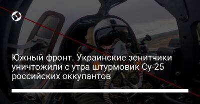 Южный фронт. Украинские зенитчики уничтожили с утра штурмовик Су-25 российских оккупантов - liga.net - Украина - Херсон - Херсонская обл.