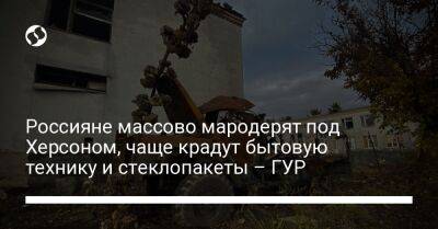 Россияне массово мародерят под Херсоном, чаще крадут бытовую технику и стеклопакеты – ГУР - liga.net - Россия - Украина - Херсон - Херсонская обл. - район Бериславский