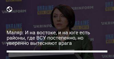 Анна Маляр - Маляр: И на востоке, и на юге есть районы, где ВСУ постепенно, но уверенно вытесняют врага - liga.net - Украина - Донецкая обл.