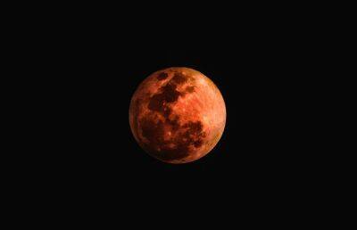 Кровавая Луна 8 ноября: что можно и нельзя делать в лунное затмение - ont.by - Россия - Белоруссия - Гренландия