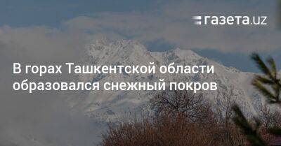 В горах Ташкентской области образовался снежный покров - gazeta.uz - Узбекистан