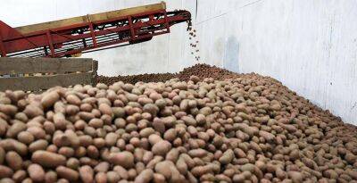 Уборку картофеля завершили в хозяйствах Беларуси - grodnonews.by - Белоруссия