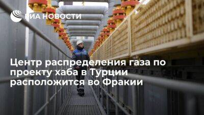 Владимир Путин - Тайип Эрдоган - Фатих Донмез - Минэнерго Турции: центр распределения газа по проекту хаба будет находиться во Фракии - smartmoney.one - Россия - Турция