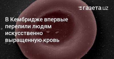 В Кембридже впервые перелили людям искусственно выращенную кровь - gazeta.uz - Узбекистан