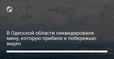 В Одесской области ликвидировали мину, которую прибило к побережью: видео - liga.net - Украина - Камбоджа - Одесская обл.