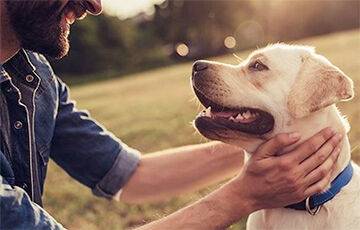 Ученые выяснили, можно ли давать собакам «человеческую еду» - charter97.org - Белоруссия - шт. Иллинойс