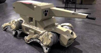 В Китае показали первого робота-собаку с автоматическим пулеметом - focus.ua - Китай - Украина - Boston
