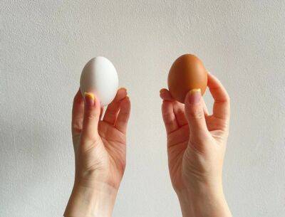 Какая разница между белыми и коричневыми яйцами: ответ вас удивит - 24tv.ua