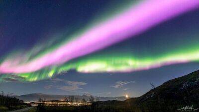 В небе Норвегии заметили редкие розовые полярные сияния: потрясающие фото - 24tv.ua - Норвегия - Гренландия
