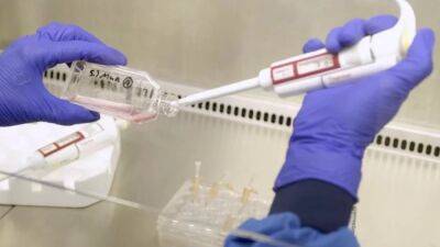 Клиницисты впервые сделали переливание искусственно созданной крови — образцы испытывают на 10 пациентах-добровольцах - itc.ua - Украина - Англия