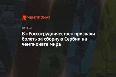 В «Россотрудничестве» призвали болеть за сборную Сербии на чемпионате мира - championat.com - Россия - Армения - Сербия - Белград - Катар